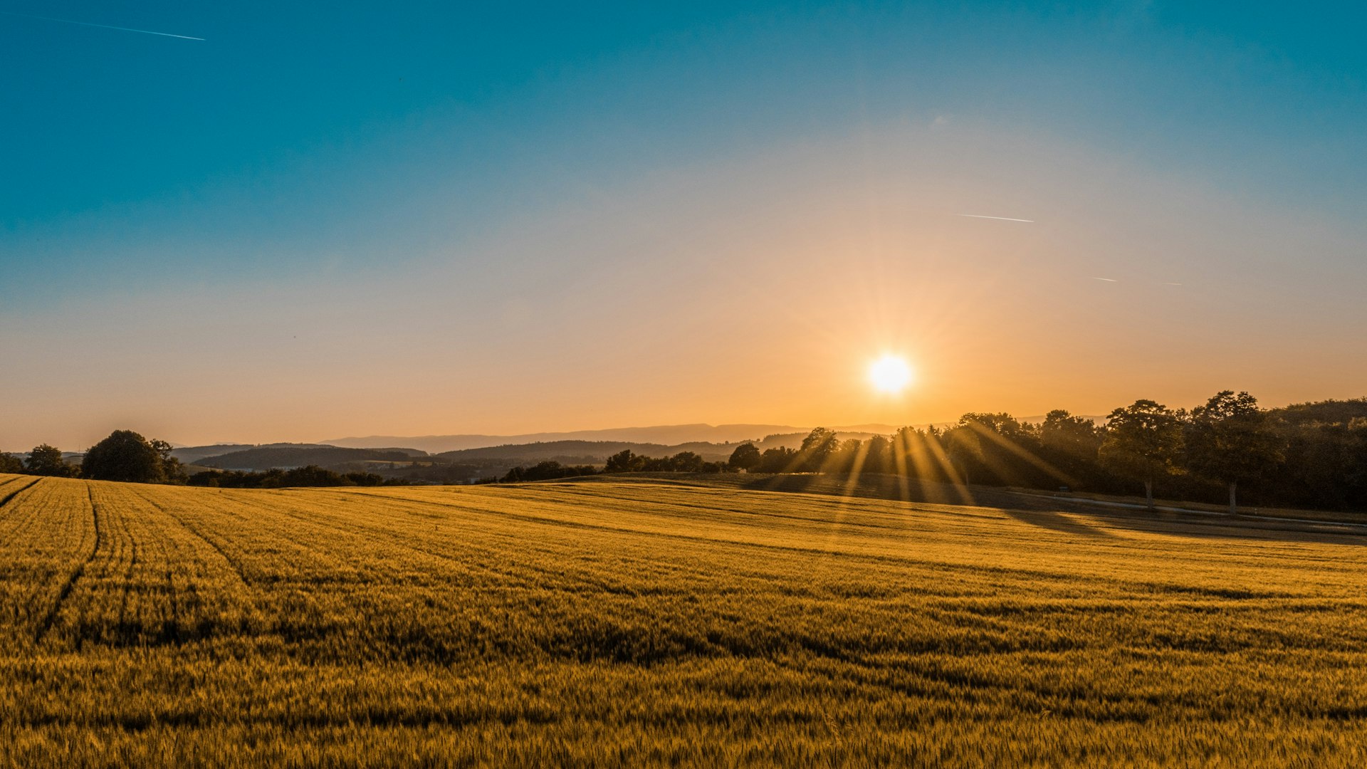 Iowa farmland at sunset — crop insurance coverage